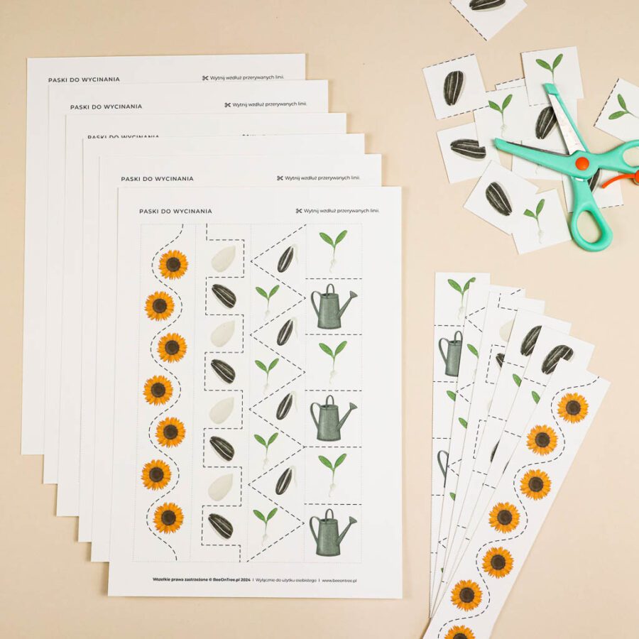 Slonecznik aktywnosci dla dzieci do druku zestawbeeontree tulalas montessori52