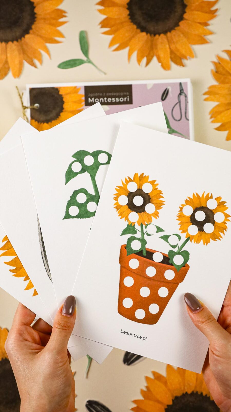 Slonecznik zeszyt cwiczen i zrestaw aktywnosci megapakiet beeontree montessori 12