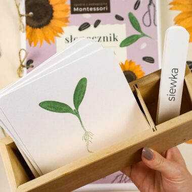 🌻 Słonecznik - Mega Pakiet aktywności dla dzieci do druku - obrazek 4