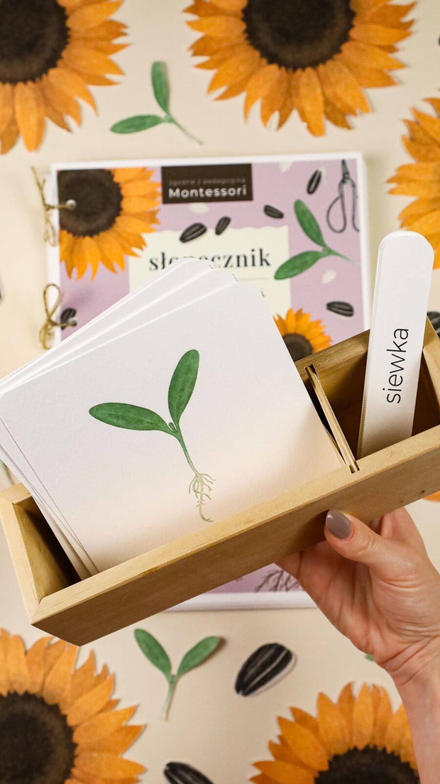 Slonecznik zeszyt cwiczen i zrestaw aktywnosci megapakiet beeontree montessori 3