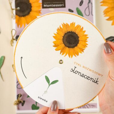 🌻 Słonecznik - Mega Pakiet aktywności dla dzieci do druku - obrazek 3