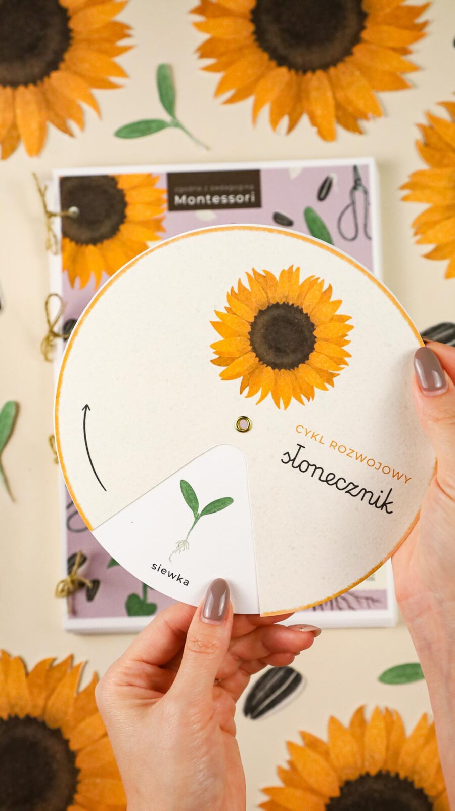 Slonecznik zeszyt cwiczen i zrestaw aktywnosci megapakiet beeontree montessori 4