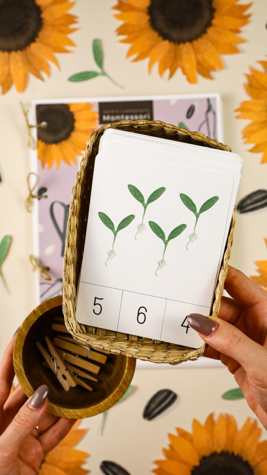 Slonecznik zeszyt cwiczen i zrestaw aktywnosci megapakiet beeontree montessori 5