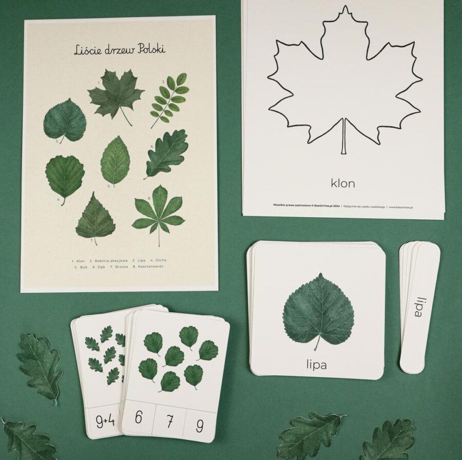 liscie zestaw edukacyjny dla dzieci do druku beeontree montessori 4173