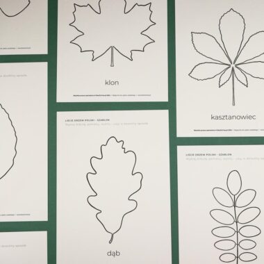 🌿 Liście -  zestaw aktywności do druku dla dzieci - obrazek 3