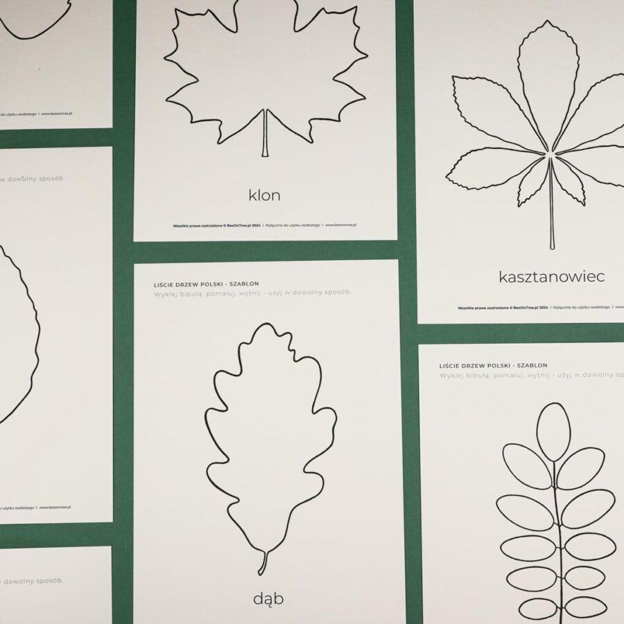 liscie zestaw edukacyjny dla dzieci do druku beeontree montessori 4174