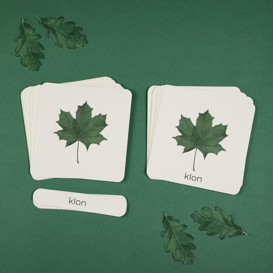 liscie zestaw edukacyjny dla dzieci do druku beeontree montessori 4177