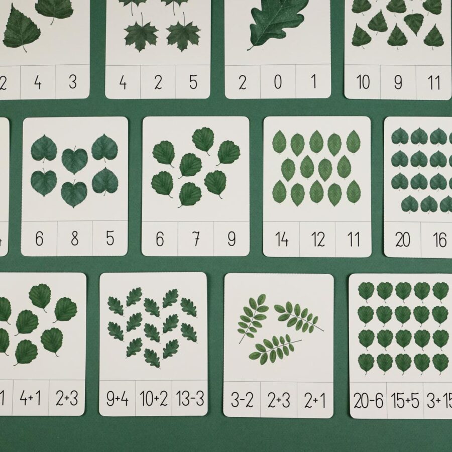 liscie zestaw edukacyjny dla dzieci do druku beeontree montessori 4179