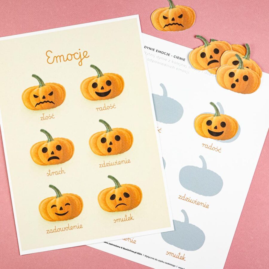 Dynie emocje gra kostka karty wyklejanki rozpoznawanie emocji nauka montessori beeontree.pl 51