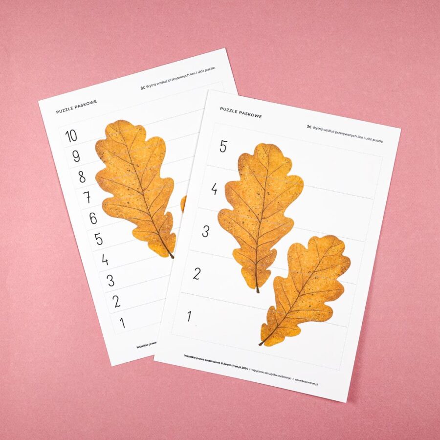 Jesien karty pracy wyklejanki wycinanki passki do wycinania domino puzzle montessori printable pdf 34