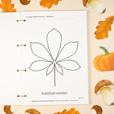 🍁 Jesień - zeszyt ćwiczeń - obrazek 16