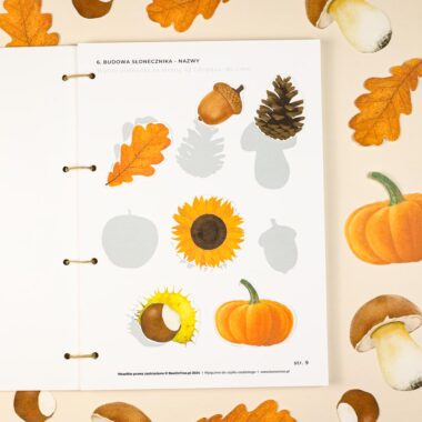 🍁 Jesień - zeszyt ćwiczeń - obrazek 18
