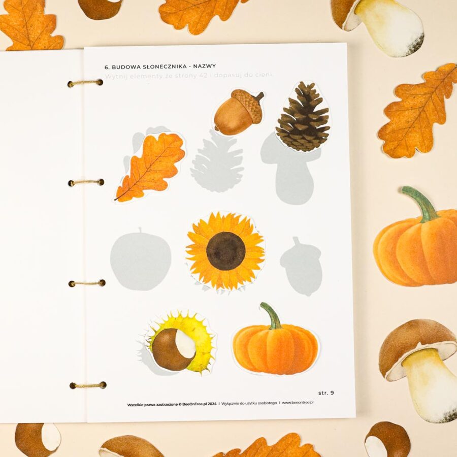 Jesien karty pracy wyklejanki wycinanki passki do wycinania domino puzzle montessori printable pdf 73