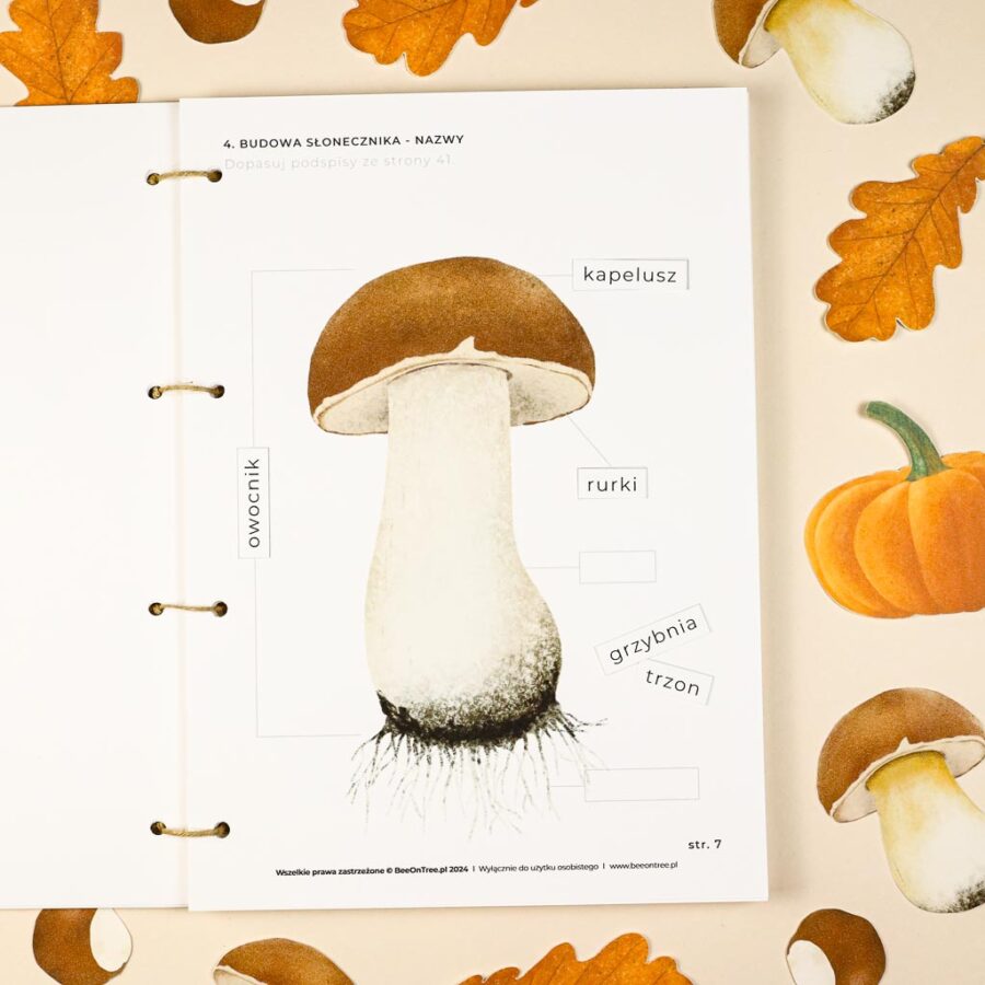 Jesien karty pracy wyklejanki wycinanki passki do wycinania domino puzzle montessori printable pdf 74