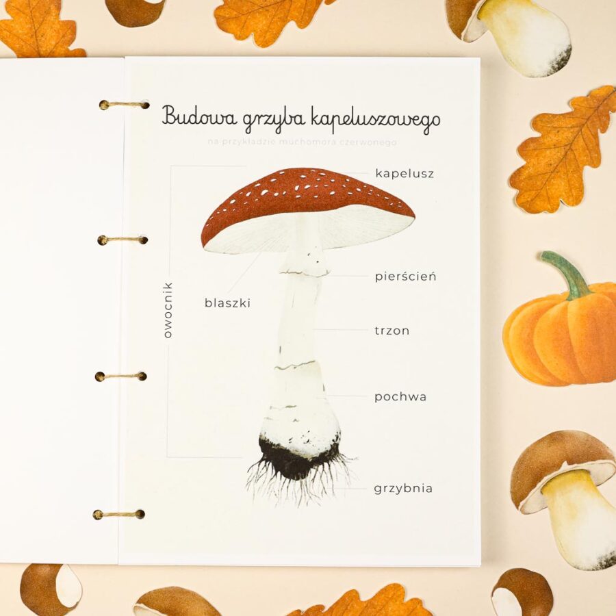 Jesien karty pracy wyklejanki wycinanki passki do wycinania domino puzzle montessori printable pdf 76