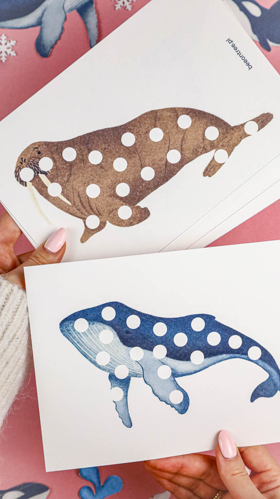 Arktyka Mega Pakiet karty klamerkowe trojdzielne countclip teatrzyk beluga orka ocean arktyczny montessori printables pdf 07