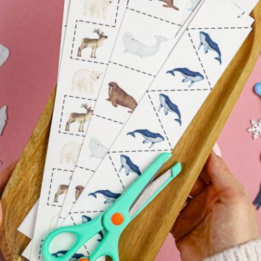 🐋 Arktyka - Mega Pakiet aktywności dla dzieci do druku - obrazek 8