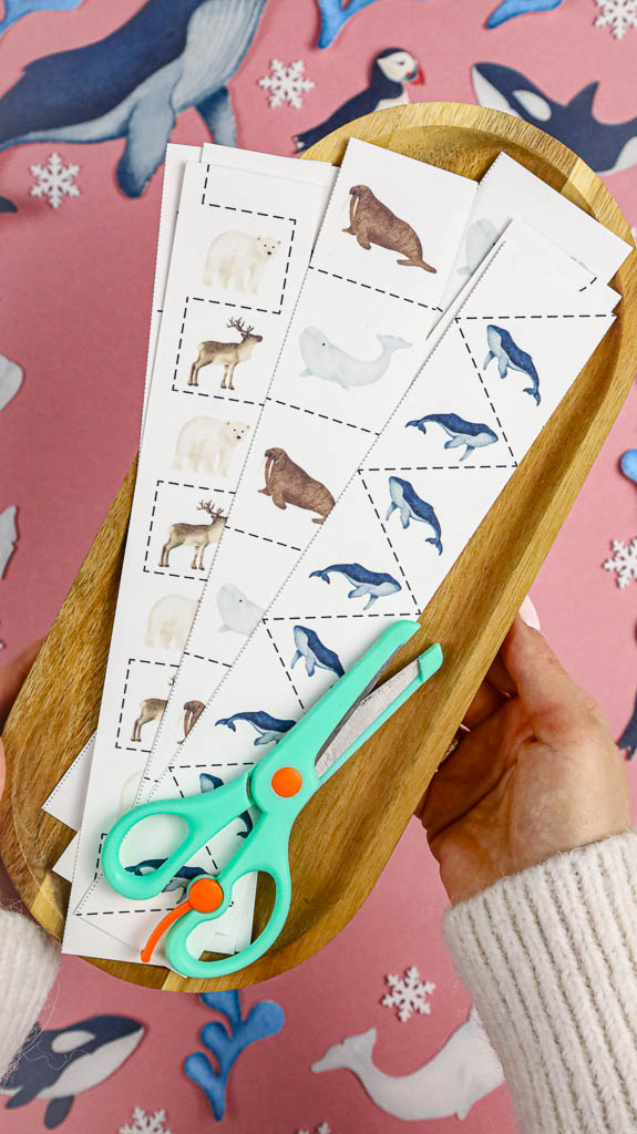 Arktyka Mega Pakiet karty klamerkowe trojdzielne countclip teatrzyk beluga orka ocean arktyczny montessori printables pdf 08