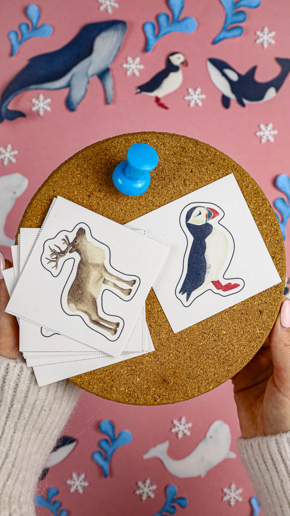 Arktyka Mega Pakiet karty klamerkowe trojdzielne countclip teatrzyk beluga orka ocean arktyczny montessori printables pdf 11