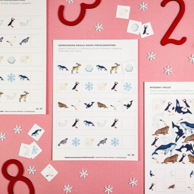 🐋 Arktyka - Zestaw Matematyka 6 🐋 Arktyka - Zestaw Matematyka - obrazek 2