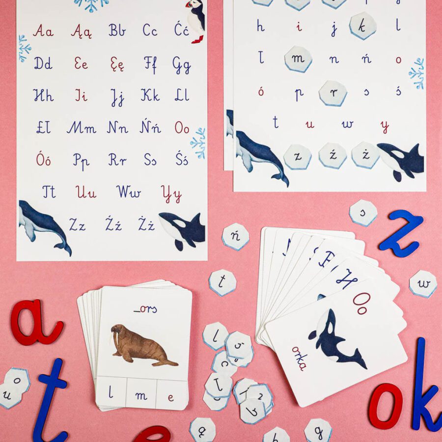 Arktyka Mega Pakiet karty klamerkowe trójdzielne count&clip teatrzyk beluga orka ocean arktyczny montessori printables pdf-115 Arktyka Mega Pakiet karty klamerkowe trojdzielne countclip teatrzyk beluga orka ocean arktyczny montessori printables pdf 115