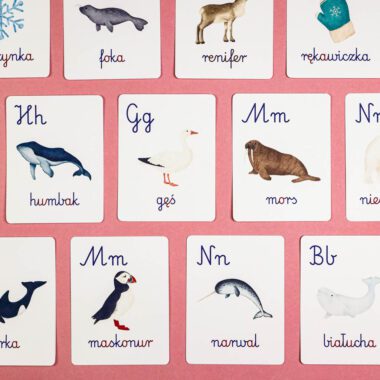 🐋 Arktyka - Zestaw Nauka Liter 11 🐋 Arktyka - Zestaw Nauka Liter - obrazek 6