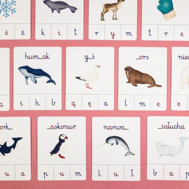 🐋 Arktyka - Zestaw Nauka Liter 9 🐋 Arktyka - Zestaw Nauka Liter - obrazek 4