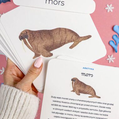 🐋 Arktyka - Mega Pakiet aktywności dla dzieci do druku - obrazek 4