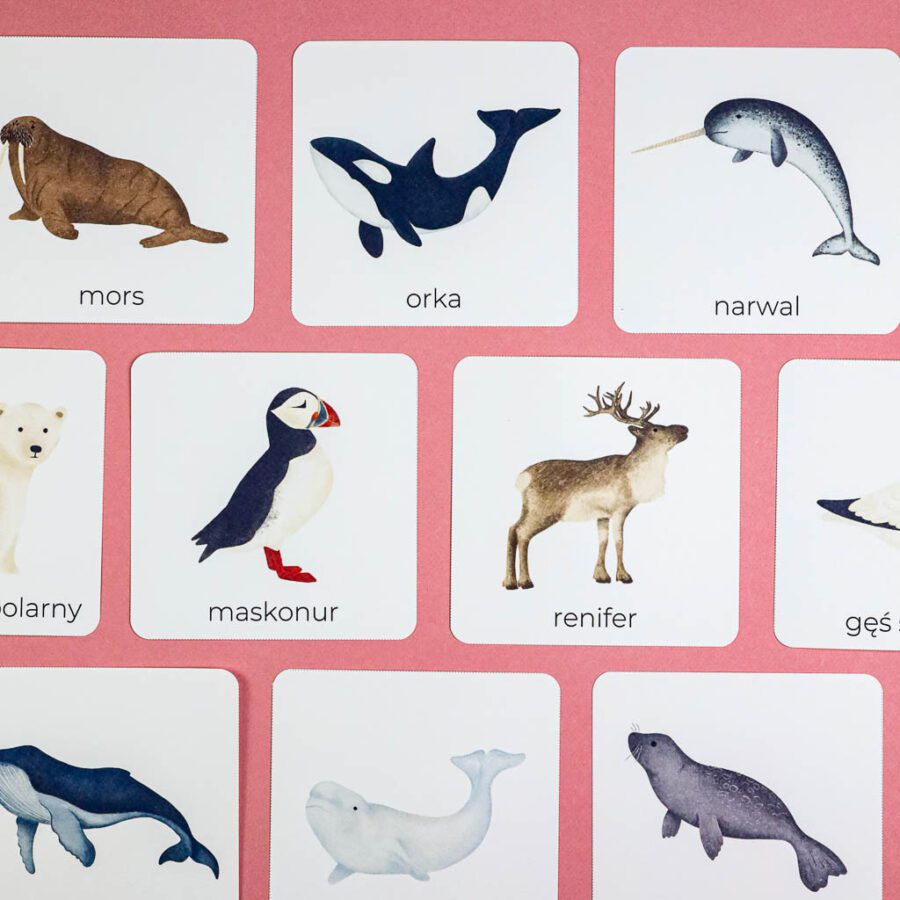 Arktyka Mega Pakiet karty klamerkowe trojdzielne countclip teatrzyk beluga orka ocean arktyczny montessori printables pdf 129