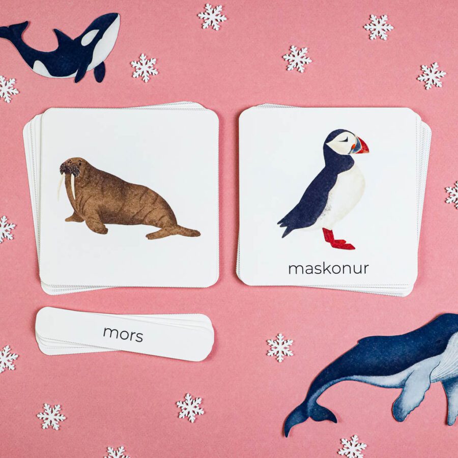 Arktyka Mega Pakiet karty klamerkowe trojdzielne countclip teatrzyk beluga orka ocean arktyczny montessori printables pdf 131