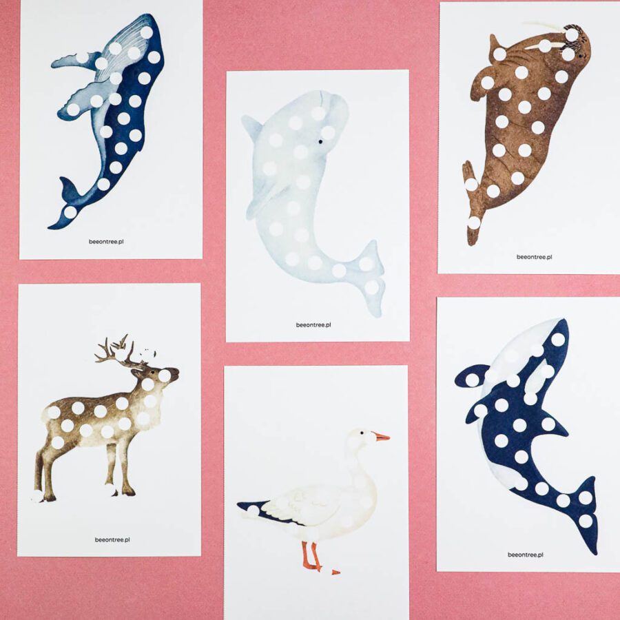 Arktyka Mega Pakiet karty klamerkowe trojdzielne countclip teatrzyk beluga orka ocean arktyczny montessori printables pdf 133