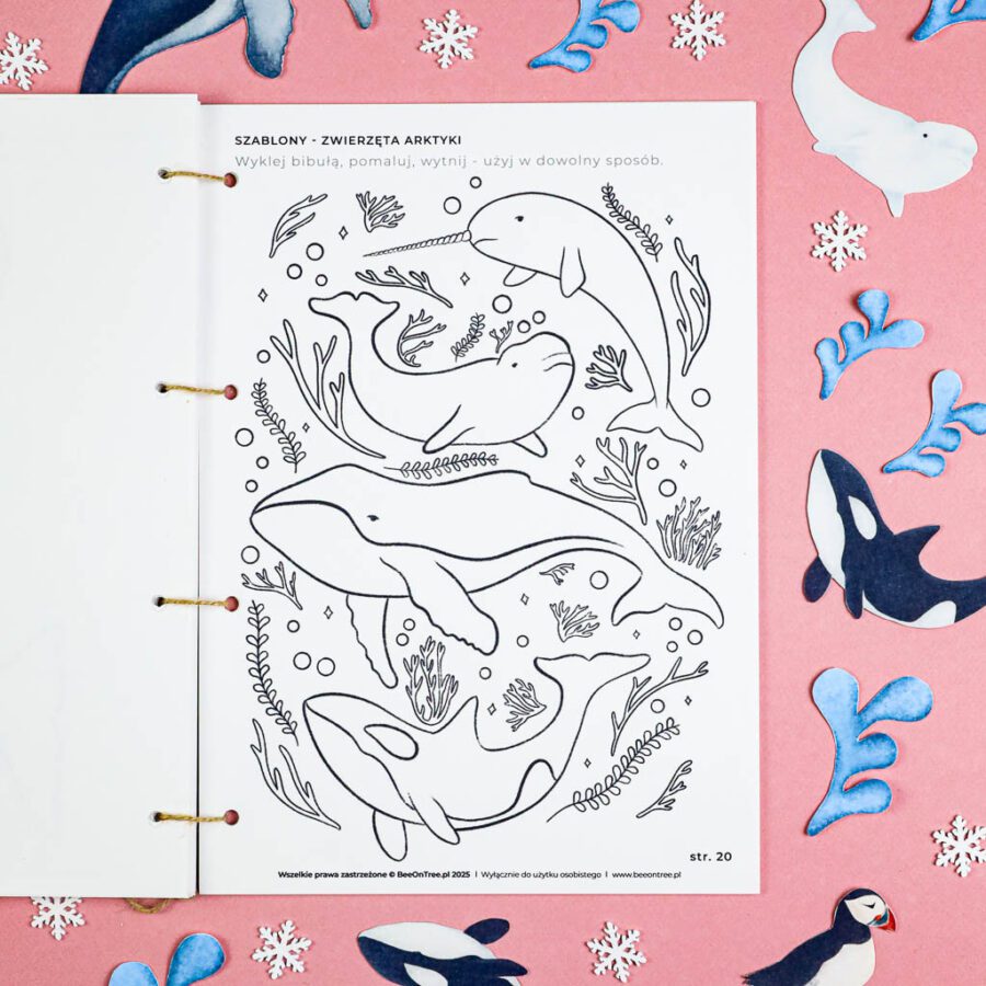 Arktyka Mega Pakiet karty klamerkowe trojdzielne countclip teatrzyk beluga orka ocean arktyczny montessori printables pdf 143