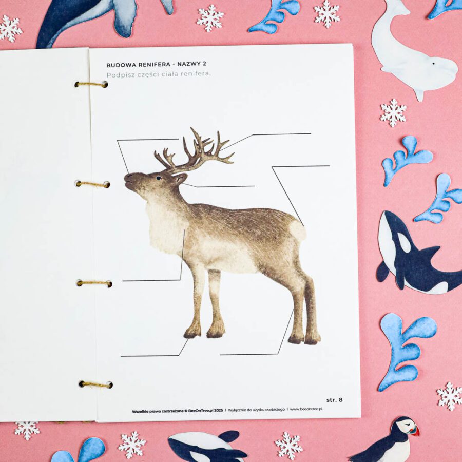 Arktyka Mega Pakiet karty klamerkowe trojdzielne countclip teatrzyk beluga orka ocean arktyczny montessori printables pdf 150