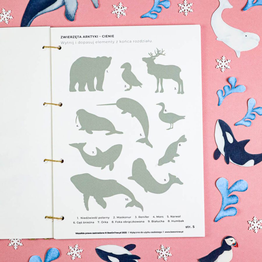 Arktyka Mega Pakiet karty klamerkowe trojdzielne countclip teatrzyk beluga orka ocean arktyczny montessori printables pdf 153