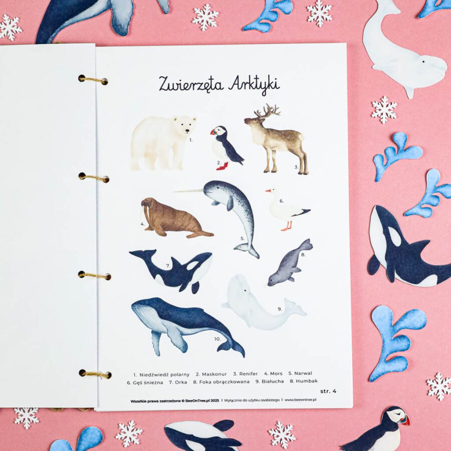 Arktyka Mega Pakiet karty klamerkowe trojdzielne countclip teatrzyk beluga orka ocean arktyczny montessori printables pdf 154