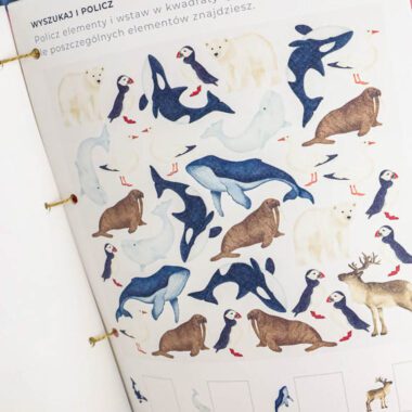 🐋 Arktyka - Mega Pakiet aktywności dla dzieci do druku - obrazek 10