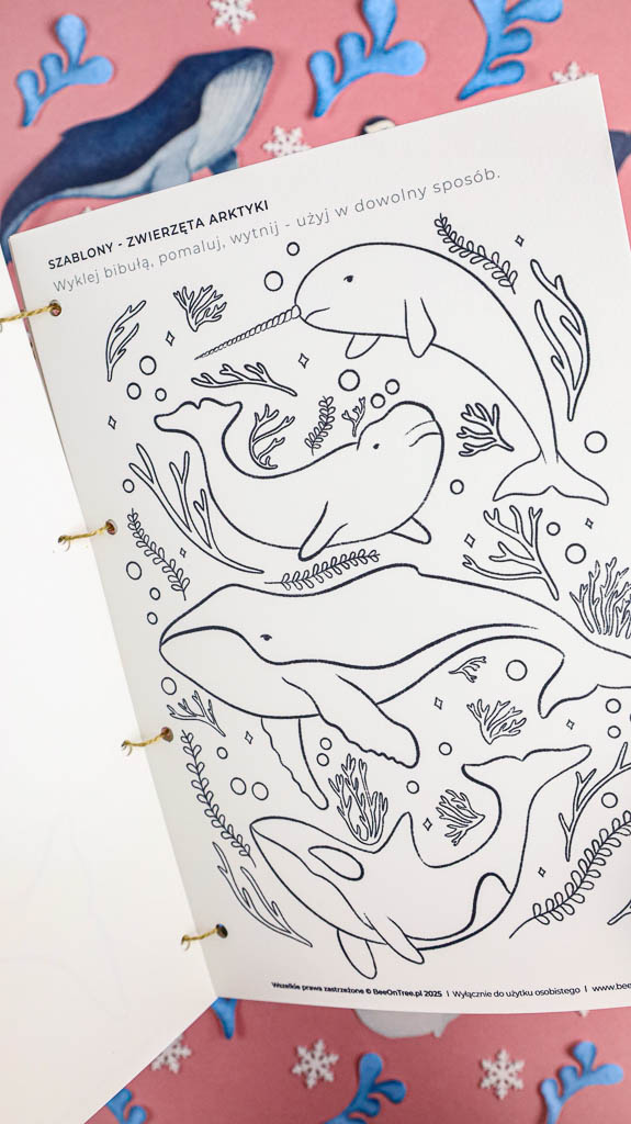 Arktyka Mega Pakiet karty klamerkowe trojdzielne countclip teatrzyk beluga orka ocean arktyczny montessori printables pdf 22