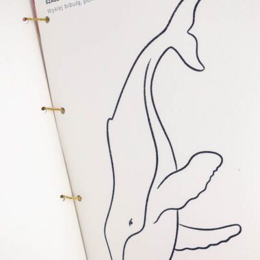 🐋 Arktyka - Mega Pakiet aktywności dla dzieci do druku - obrazek 13