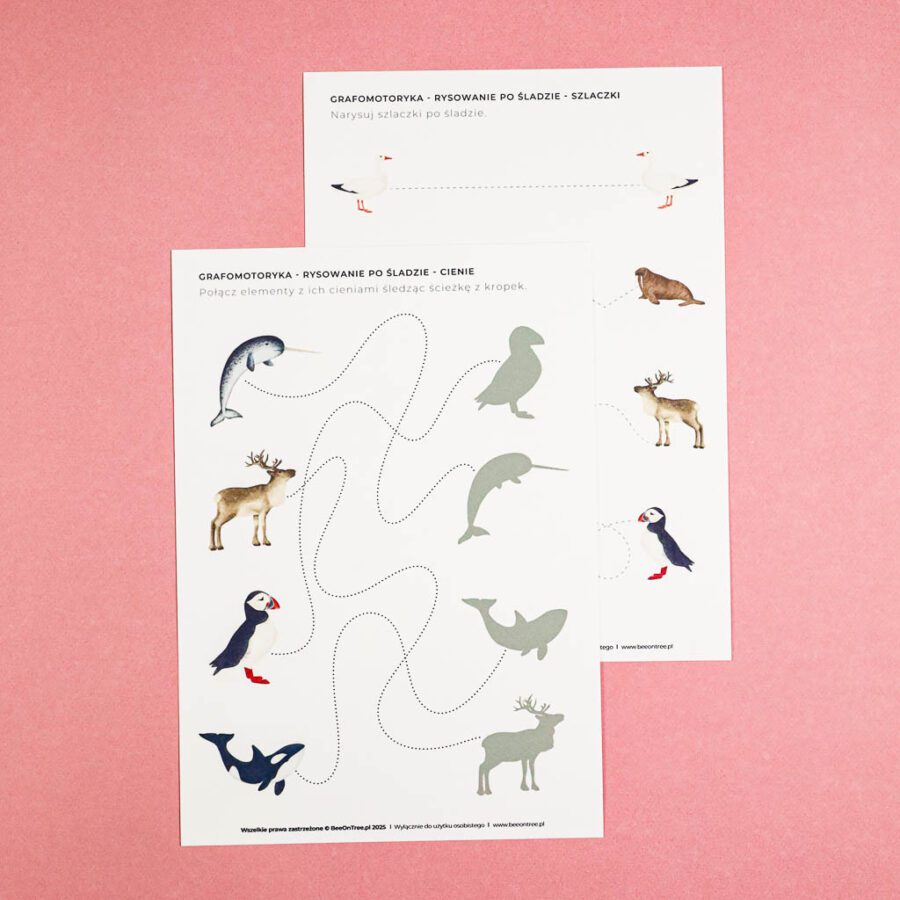 🐋 Arktyka - Zestaw Grafomotoryka - labirynty i szlaczki 1 Arktyka Mega Pakiet karty klamerkowe trojdzielne countclip teatrzyk beluga orka ocean arktyczny montessori printables pdf 247