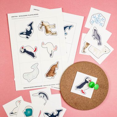🐋 Arktyka - Kształty do dziurkowania - obrazek 2