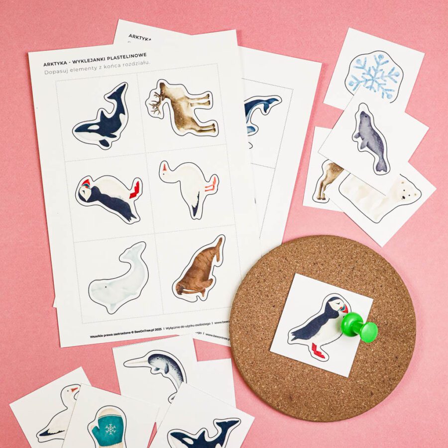 Arktyka Mega Pakiet karty klamerkowe trojdzielne countclip teatrzyk beluga orka ocean arktyczny montessori printables pdf 251