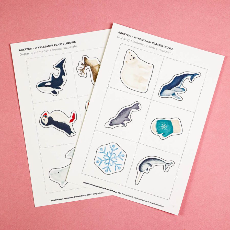 Arktyka Mega Pakiet karty klamerkowe trojdzielne countclip teatrzyk beluga orka ocean arktyczny montessori printables pdf 252