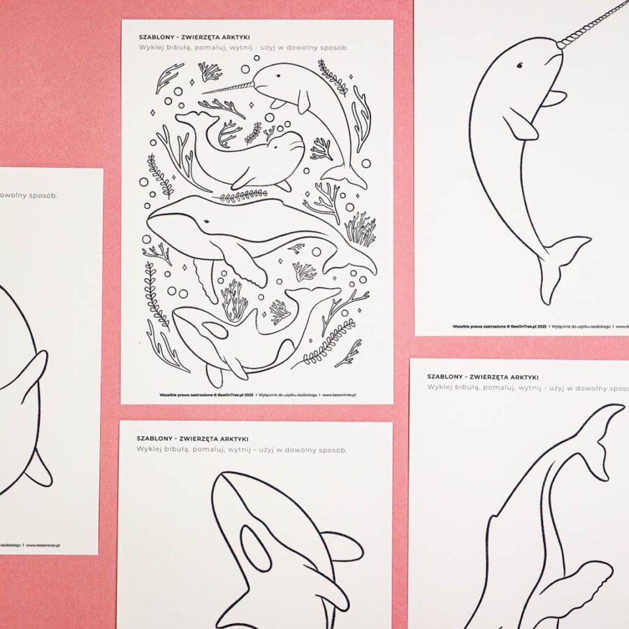 Arktyka Mega Pakiet karty klamerkowe trojdzielne countclip teatrzyk beluga orka ocean arktyczny montessori printables pdf 253