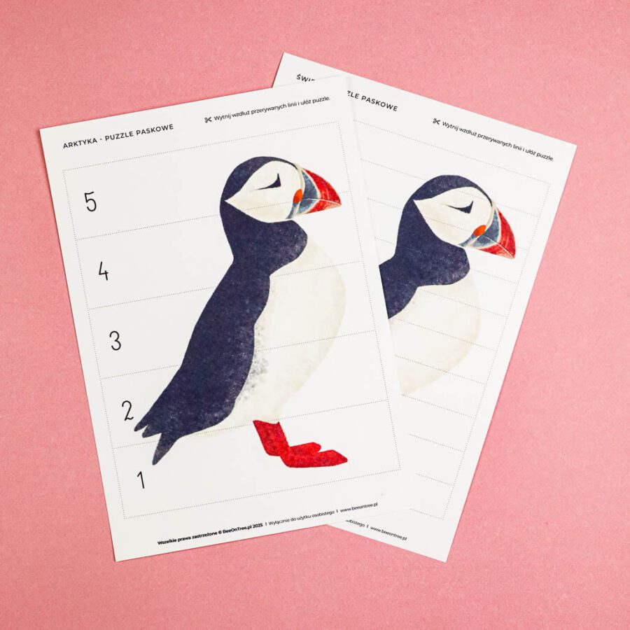 Arktyka Mega Pakiet karty klamerkowe trojdzielne countclip teatrzyk beluga orka ocean arktyczny montessori printables pdf 254