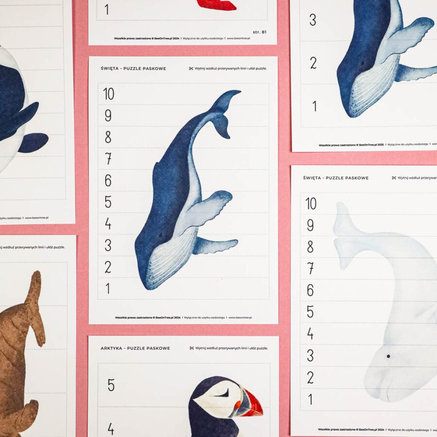 Arktyka Mega Pakiet karty klamerkowe trojdzielne countclip teatrzyk beluga orka ocean arktyczny montessori printables pdf 255