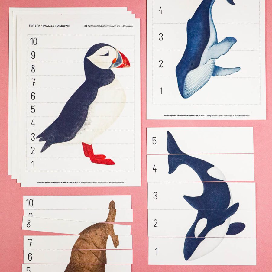 Arktyka Mega Pakiet karty klamerkowe trojdzielne countclip teatrzyk beluga orka ocean arktyczny montessori printables pdf 256