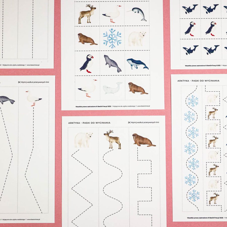 Arktyka Mega Pakiet karty klamerkowe trojdzielne countclip teatrzyk beluga orka ocean arktyczny montessori printables pdf 257