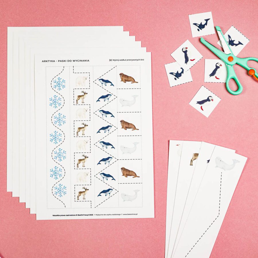 Arktyka Mega Pakiet karty klamerkowe trojdzielne countclip teatrzyk beluga orka ocean arktyczny montessori printables pdf 258