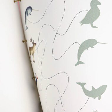 🐋 Arktyka - Mega Pakiet aktywności dla dzieci do druku - obrazek 16