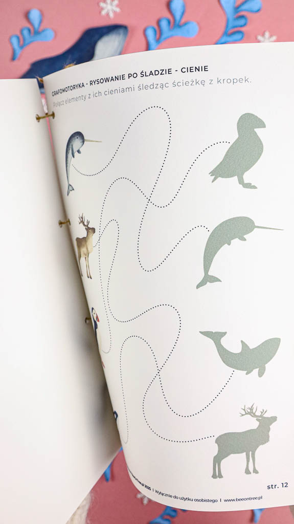 Arktyka Mega Pakiet karty klamerkowe trojdzielne countclip teatrzyk beluga orka ocean arktyczny montessori printables pdf 26